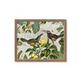 Picture of Parrots Nostalgic Journey 2 _GroupedProduct_Rectangle_Landscape_Framed_Matted_