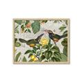 Picture of Parrots Nostalgic Journey 2 _GroupedProduct_Rectangle_Landscape_Framed_Matted_