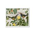 Picture of Parrots Nostalgic Journey 2 _GroupedProduct_Rectangle_Landscape_Framed_Matted_