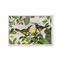 Picture of Parrots Nostalgic Journey 2 _GroupedProduct_Rectangle_Landscape_Framed_Matted_