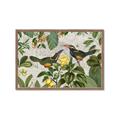 Picture of Parrots Nostalgic Journey 2 _GroupedProduct_Rectangle_Landscape_Framed_Matted_