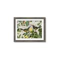 Picture of Parrots Nostalgic Journey 2 _GroupedProduct_Rectangle_Landscape_Framed_Matted_