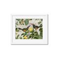 Picture of Parrots Nostalgic Journey 2 _GroupedProduct_Rectangle_Landscape_Framed_Matted_