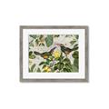 Picture of Parrots Nostalgic Journey 2 _GroupedProduct_Rectangle_Landscape_Framed_Matted_