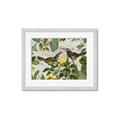 Picture of Parrots Nostalgic Journey 2 _GroupedProduct_Rectangle_Landscape_Framed_Matted_