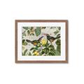 Picture of Parrots Nostalgic Journey 2 _GroupedProduct_Rectangle_Landscape_Framed_Matted_