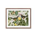 Picture of Parrots Nostalgic Journey 2 _GroupedProduct_Rectangle_Landscape_Framed_Matted_