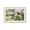 Picture of Parrots Nostalgic Journey 2 _GroupedProduct_Rectangle_Landscape_Framed_Matted_