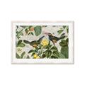Picture of Parrots Nostalgic Journey 2 _GroupedProduct_Rectangle_Landscape_Framed_Matted_