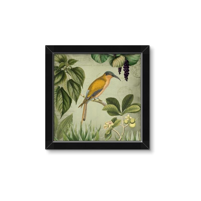 Picture of Yellow Nostalgic Tropical Birds _GroupedProduct_Square_Framed_Matted_