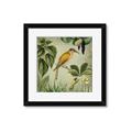 Picture of Yellow Nostalgic Tropical Birds _GroupedProduct_Square_Framed_Matted_