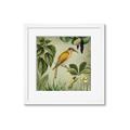Picture of Yellow Nostalgic Tropical Birds _GroupedProduct_Square_Framed_Matted_