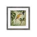 Picture of Yellow Nostalgic Tropical Birds _GroupedProduct_Square_Framed_Matted_