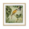 Picture of Yellow Nostalgic Tropical Birds _GroupedProduct_Square_Framed_Matted_