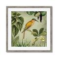 Picture of Yellow Nostalgic Tropical Birds _GroupedProduct_Square_Framed_Matted_
