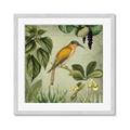 Picture of Yellow Nostalgic Tropical Birds _GroupedProduct_Square_Framed_Matted_
