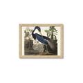 Picture of Vintage Heron Bird _GroupedProduct_Rectangle_Landscape_Framed_Matted_