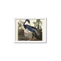 Picture of Vintage Heron Bird _GroupedProduct_Rectangle_Landscape_Framed_Matted_