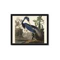 Picture of Vintage Heron Bird _GroupedProduct_Rectangle_Landscape_Framed_Matted_