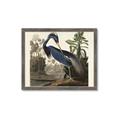 Picture of Vintage Heron Bird _GroupedProduct_Rectangle_Landscape_Framed_Matted_
