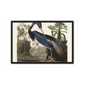 Picture of Vintage Heron Bird _GroupedProduct_Rectangle_Landscape_Framed_Matted_