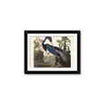 Picture of Vintage Heron Bird _GroupedProduct_Rectangle_Landscape_Framed_Matted_