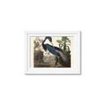 Picture of Vintage Heron Bird _GroupedProduct_Rectangle_Landscape_Framed_Matted_