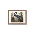 Picture of Vintage Heron Bird _GroupedProduct_Rectangle_Landscape_Framed_Matted_