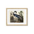 Picture of Vintage Heron Bird _GroupedProduct_Rectangle_Landscape_Framed_Matted_