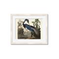 Picture of Vintage Heron Bird _GroupedProduct_Rectangle_Landscape_Framed_Matted_