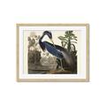 Picture of Vintage Heron Bird _GroupedProduct_Rectangle_Landscape_Framed_Matted_