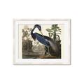 Picture of Vintage Heron Bird _GroupedProduct_Rectangle_Landscape_Framed_Matted_