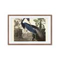 Picture of Vintage Heron Bird _GroupedProduct_Rectangle_Landscape_Framed_Matted_