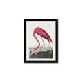 Picture of Vintage Pink Flamingo _GroupedProduct_Rectangle_Portrait_Framed_Matted_