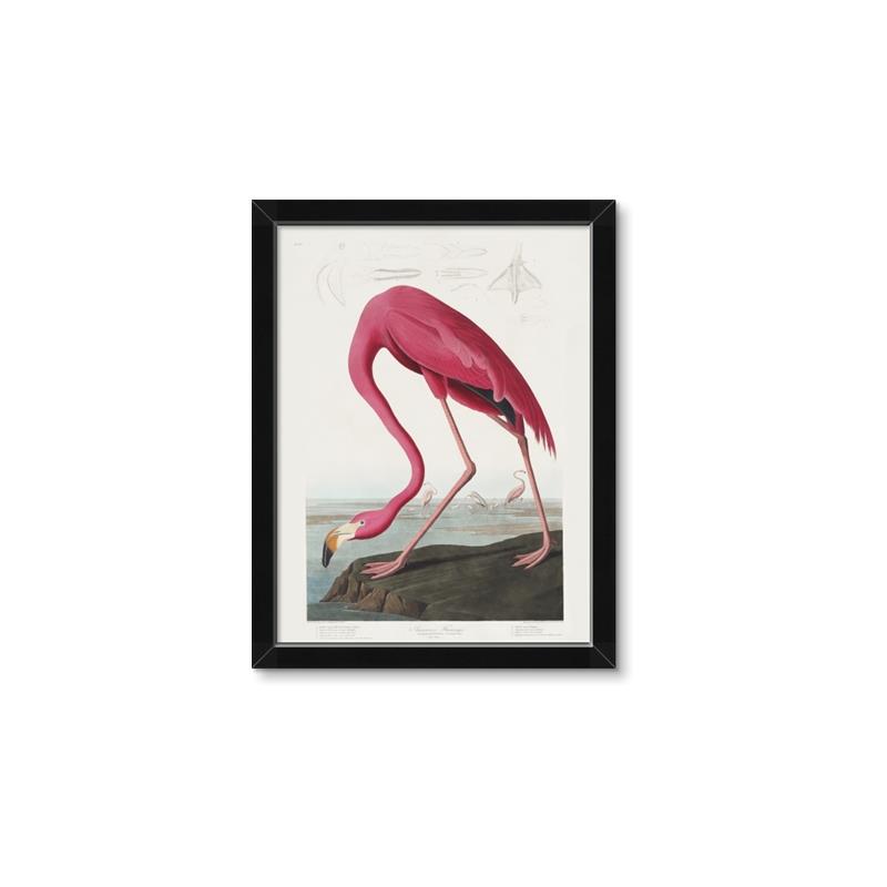 Picture of Vintage Pink Flamingo _GroupedProduct_Rectangle_Portrait_Framed_Matted_