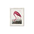 Picture of Vintage Pink Flamingo _GroupedProduct_Rectangle_Portrait_Framed_Matted_