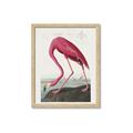 Picture of Vintage Pink Flamingo _GroupedProduct_Rectangle_Portrait_Framed_Matted_