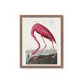 Picture of Vintage Pink Flamingo _GroupedProduct_Rectangle_Portrait_Framed_Matted_
