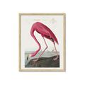 Picture of Vintage Pink Flamingo _GroupedProduct_Rectangle_Portrait_Framed_Matted_