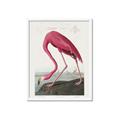 Picture of Vintage Pink Flamingo _GroupedProduct_Rectangle_Portrait_Framed_Matted_