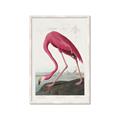 Picture of Vintage Pink Flamingo _GroupedProduct_Rectangle_Portrait_Framed_Matted_
