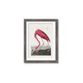 Picture of Vintage Pink Flamingo _GroupedProduct_Rectangle_Portrait_Framed_Matted_
