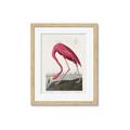 Picture of Vintage Pink Flamingo _GroupedProduct_Rectangle_Portrait_Framed_Matted_