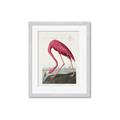 Picture of Vintage Pink Flamingo _GroupedProduct_Rectangle_Portrait_Framed_Matted_