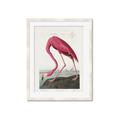 Picture of Vintage Pink Flamingo _GroupedProduct_Rectangle_Portrait_Framed_Matted_