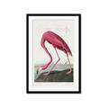 Picture of Vintage Pink Flamingo _GroupedProduct_Rectangle_Portrait_Framed_Matted_