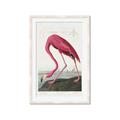 Picture of Vintage Pink Flamingo _GroupedProduct_Rectangle_Portrait_Framed_Matted_