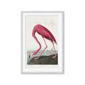 Picture of Vintage Pink Flamingo _GroupedProduct_Rectangle_Portrait_Framed_Matted_