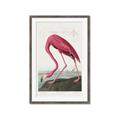 Picture of Vintage Pink Flamingo _GroupedProduct_Rectangle_Portrait_Framed_Matted_