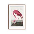 Picture of Vintage Pink Flamingo _GroupedProduct_Rectangle_Portrait_Framed_Matted_